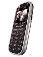 Best available price of Motorola WX288 in Kn