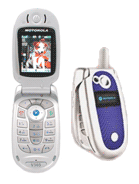 Best available price of Motorola V303 in Kn